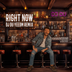 Right Now (DJ DU YEEDM REMIX)