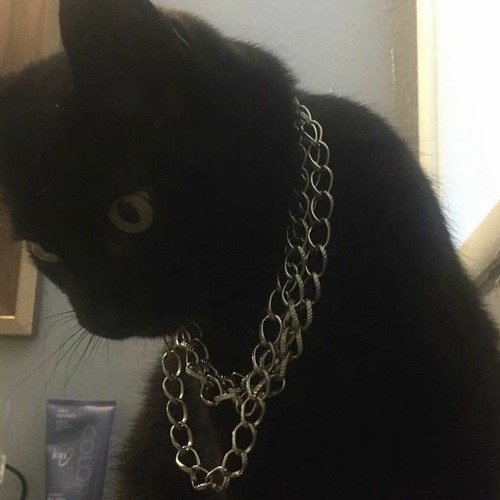 2Pac - Black Cotton / Realest Killaz /