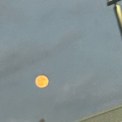 moon dancin w/nine00bitxches