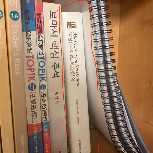 매일의 양식