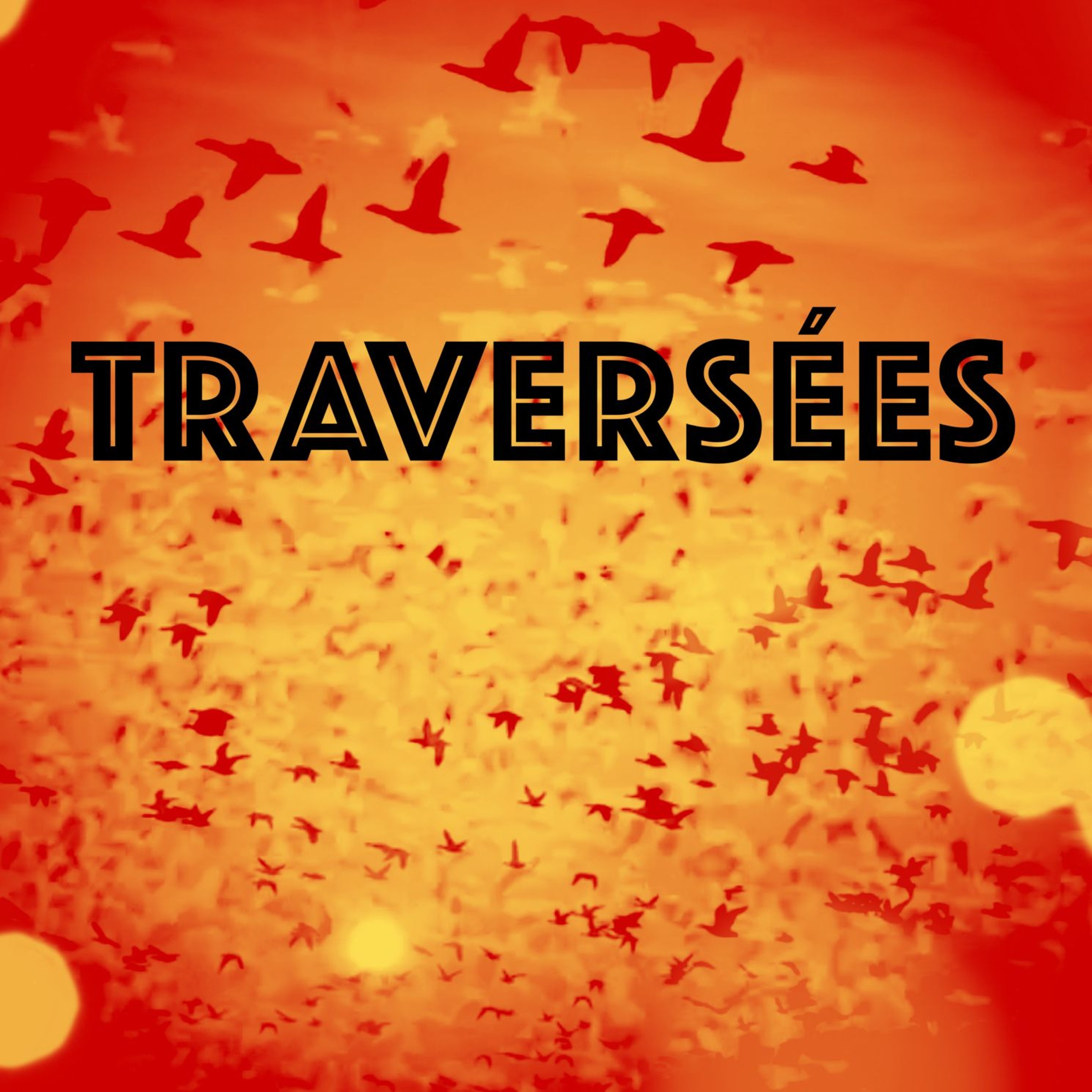 Martin Ferron - Microphone francophone - Remusicaliser le monde