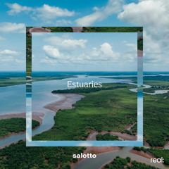 Estuaries