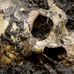 KomischerKomiker - Pandemic (Original Mix) (Insanity Master)