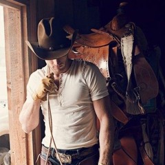 Brandon Davis - What cowboys are for