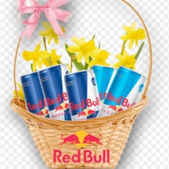 2.0Pure Redbull Winter vibe 2025