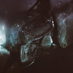 Black Waters