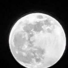 in line Im Einklang 1