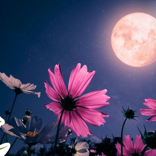 Midnight Calm: Deep Sleep Music by Peder B. Helland | Fall Asleep with Ambient Music