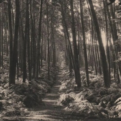 Stream MUWN Henrik Meierkord Marco Lucchi Nuages Color s By Orchestra Eclettica Sincretista 