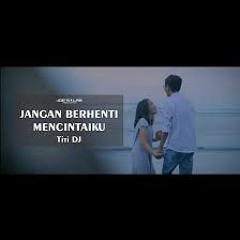 Titi D.J - Jangan Berhenti Mencintaiku (WillyL3 ,Fani Ellen ,ft 2Bros Remix)