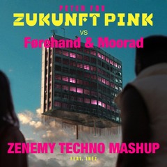Peter Fox vs. Førehand & Moorad - Zukunft Pink People (Zenemy Mashup)FREE DL [preview]