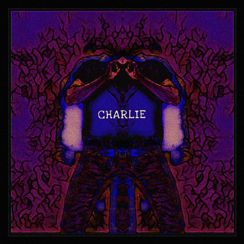 Stream 𝖙𝖍𝖊 𝖘𝖔𝖚𝖓𝖉 | Listen to CHARLIE playlist online for free on SoundCloud