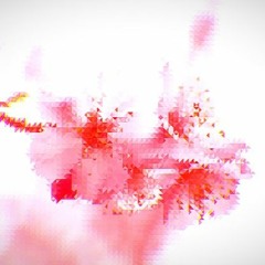 flor de sakura