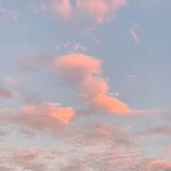 Dontpullover - I Was Tryna See Sum