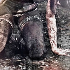 i won’t forget (foreverr)