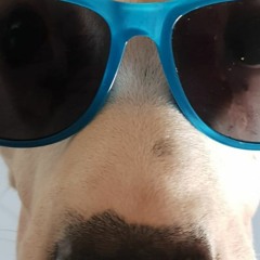 Chupacambra