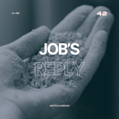 10. Jobs Reply (AmTecH Version) | Build the House Album