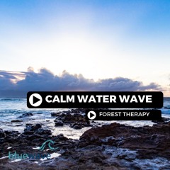 Calm Water Wave
