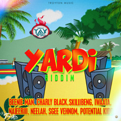 YARDI RIDDIM MEDLEY (MIX) BY DJ TAY WSG