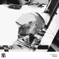 MOTZ Premiere: DEMODAT - GROWS [L8EX001]