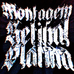 MONTAGEM RETINAL PLATINA (Slowed)