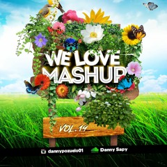 We Love Mashup Vol.19 + Old Tracks Remakes DannySapy ( 10 Tracks )