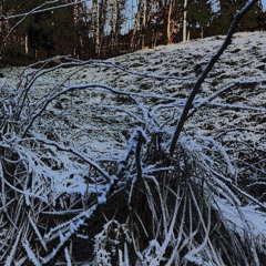 fleuri303 - janurary live set