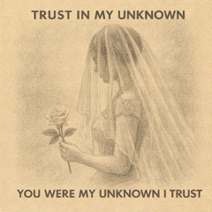 You Were My Unknown I Trust