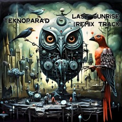 TeknoPara'D - Last Sunrise [Remix Track]