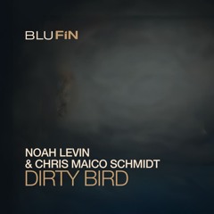 Noah Levin, Chris Maico Schmidt - Dirty Bird (Blufin Records)