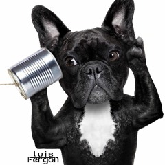 Sesion Luis Fergon Octubre 2022