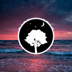 Sam Smyers - Motion (feat. M. Maggie) [Chris Timber Remix]