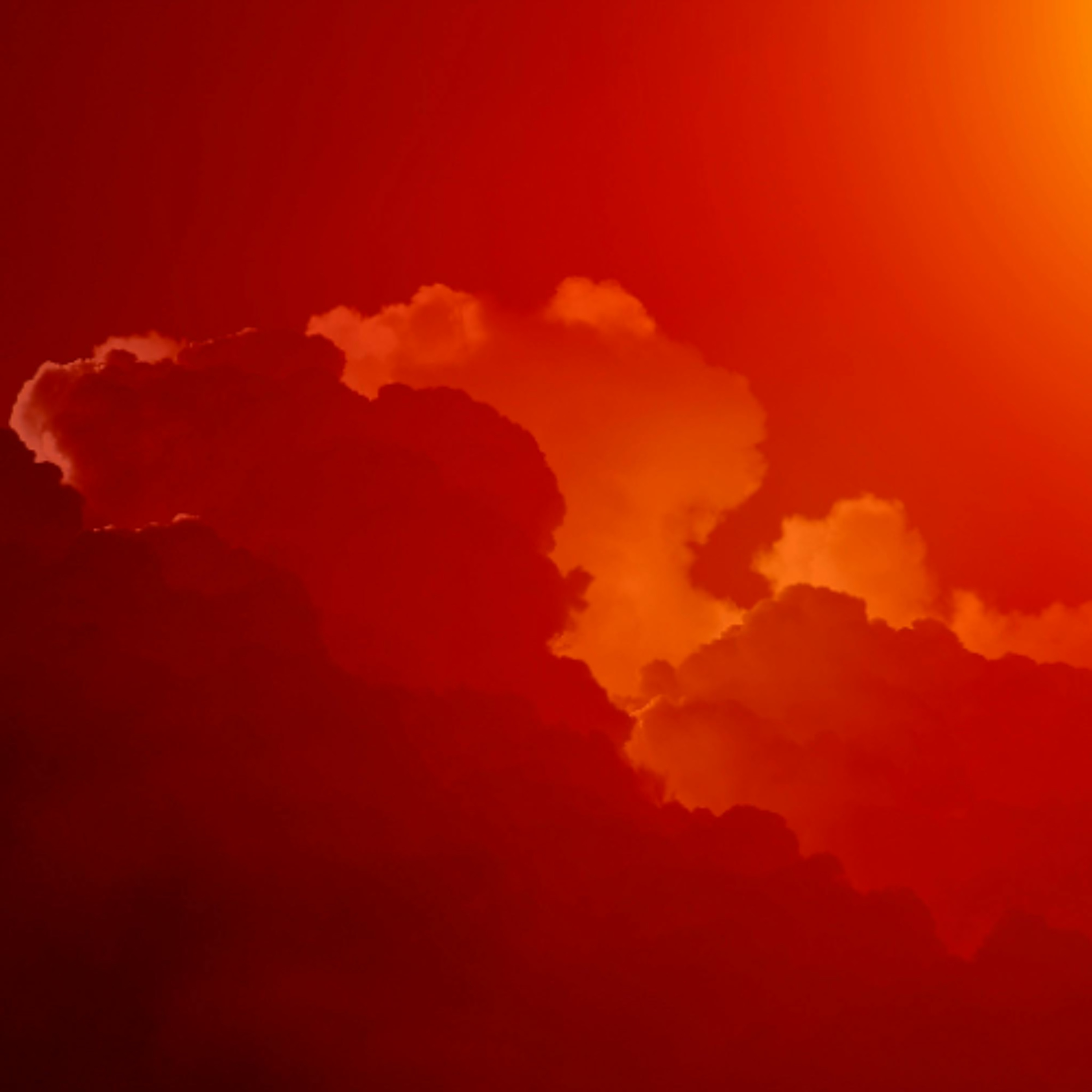 Episode 455: Red Dawn (1984) Episode 455: Red Dawn (1984)