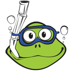 Best Boss Frogs Snorkel Report Prices Reviews