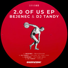 Dj Tandy - You Are The Only One [SRVB03]