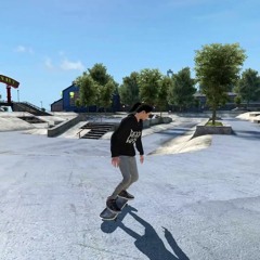 skate3