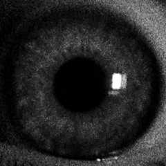 ¿ why they mad ~ i don't get it ?