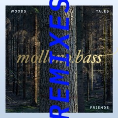 Mollono.Bass feat. Kuoko - No Silence (Super Flu Remix) [3000Grad]