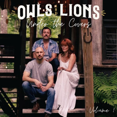Home (Phillip Phillips) by Owls & Lions