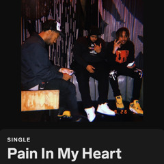 Pain in My Heart ft Raul, TreyBo