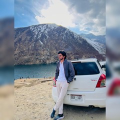 Selena Gomez & ZAYN - Tonight and Always