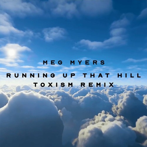Meg Myers - Running Up That Hill (Toxism Remix).mp3