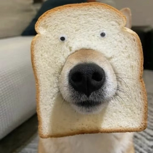 DEITADO NO SOFÁ NÃO PARO DE PENSAR  DJ Dozabri MC Leon e MC Maurício