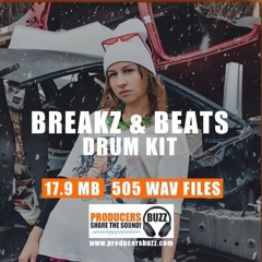 450 FREE Drum & Bass Samples by Producers Buzz