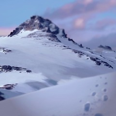 세르파