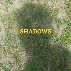 shadows (acoustic demo)