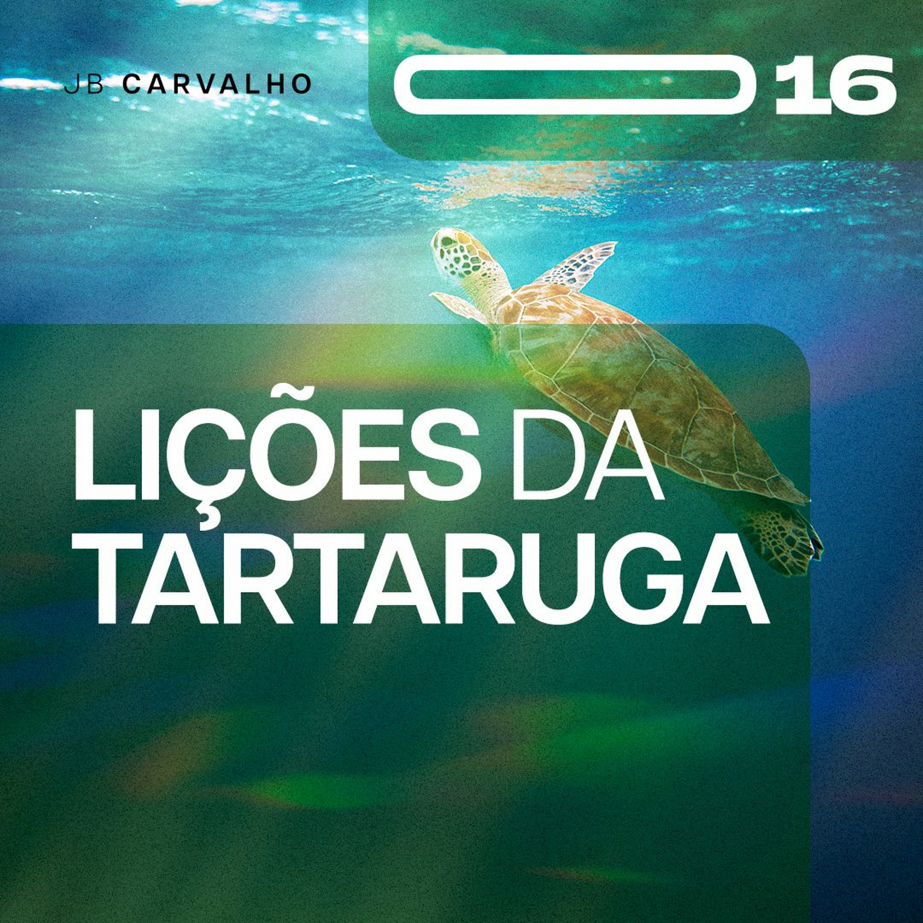 #016 - A Lição da Tartaruga - Promessas Nossas de cada dia - JB Carvalho episode artwork