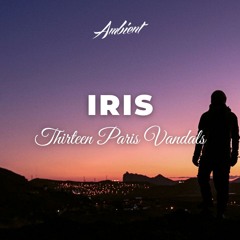 Thirteen Paris Vandals - Iris