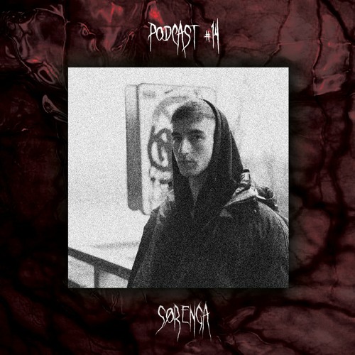PODCAST #14: SØRENGA