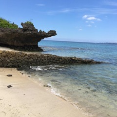 WATER (leak) prod. By Wiz Tha Great